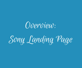 About the Creation of Sony Pro-Media Landing Page